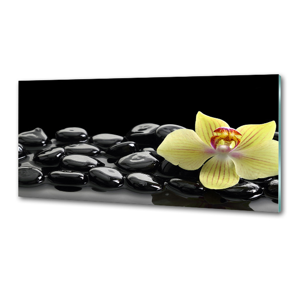 Skleněný panel do kuchynské linky Orchidej