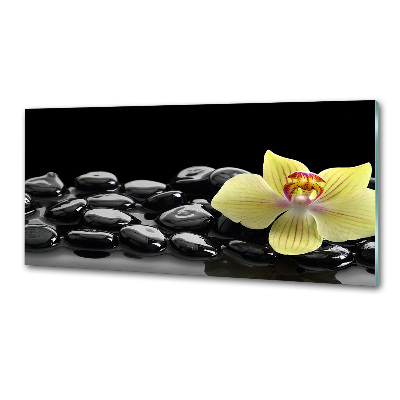 Skleněný panel do kuchynské linky Orchidej