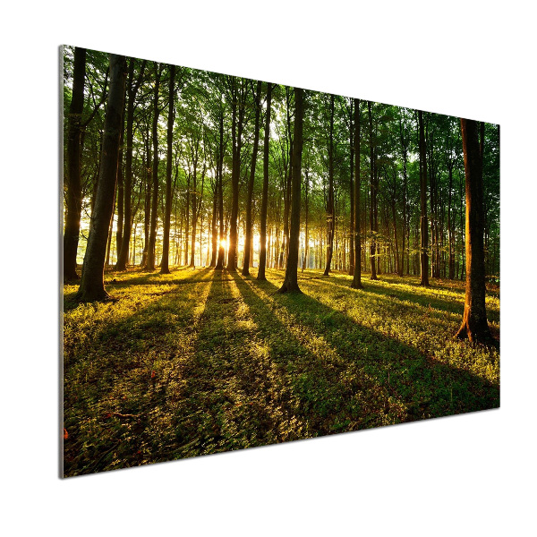 Panel do kuchyně Sluneční paprsky