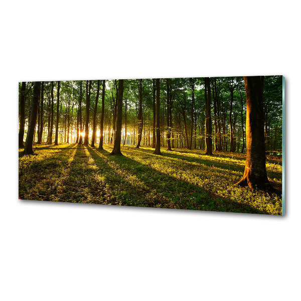 Panel do kuchyně Sluneční paprsky