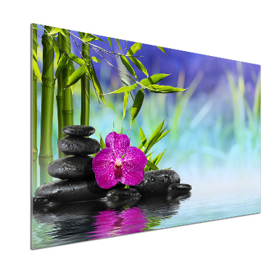 Panel do kuchyně Orchidej bambus