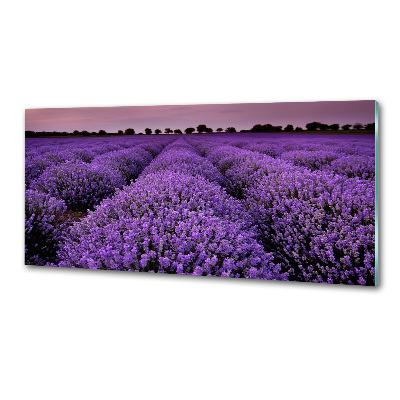 Dekorační panel sklo Pole levandule