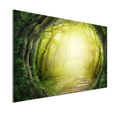 Panel do kuchyně Tunel ze stromů