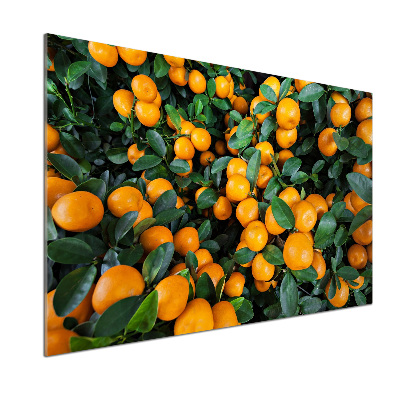 Dekorační panel sklo Mandarinky