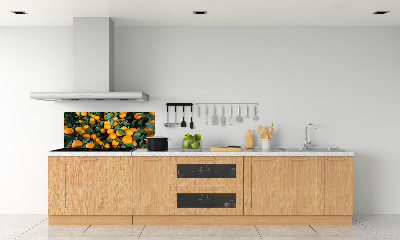 Dekorační panel sklo Mandarinky