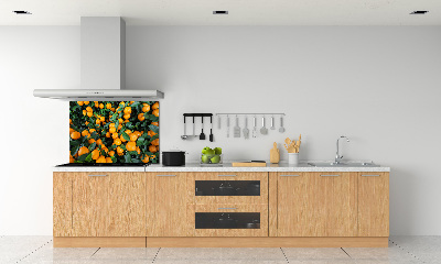 Dekorační panel sklo Mandarinky