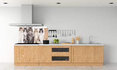 Dekorační panel sklo Šest koček
