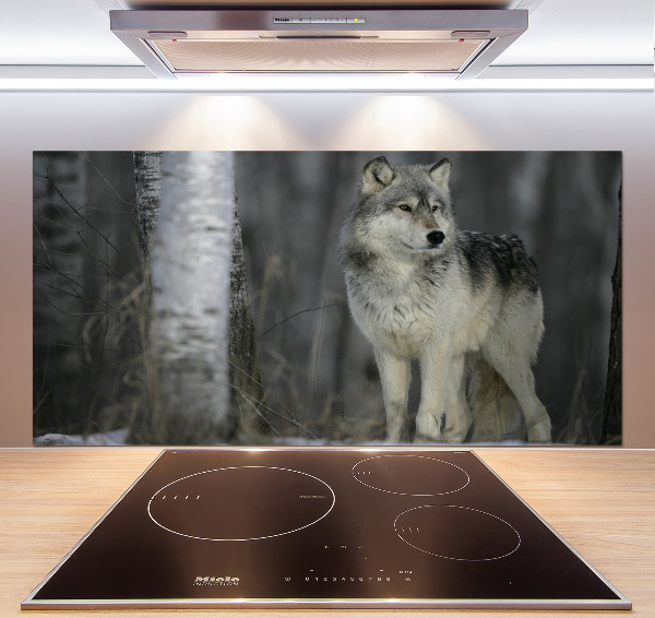 Dekorační panel sklo Šedý vlk