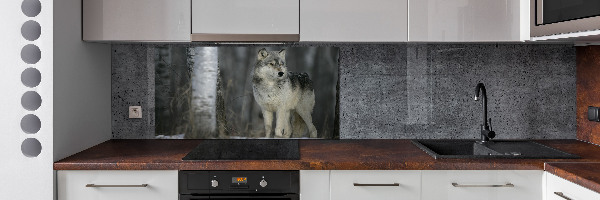 Dekorační panel sklo Šedý vlk