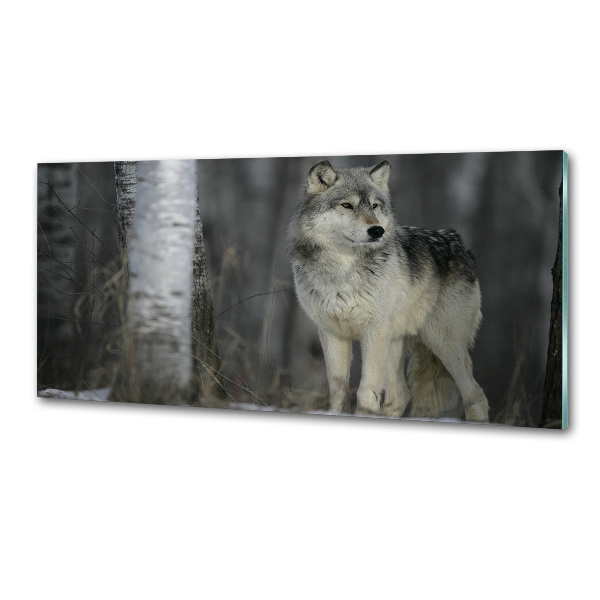 Dekorační panel sklo Šedý vlk