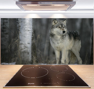 Dekorační panel sklo Šedý vlk