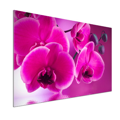 Skleněný panel do kuchynské linky Orchidej