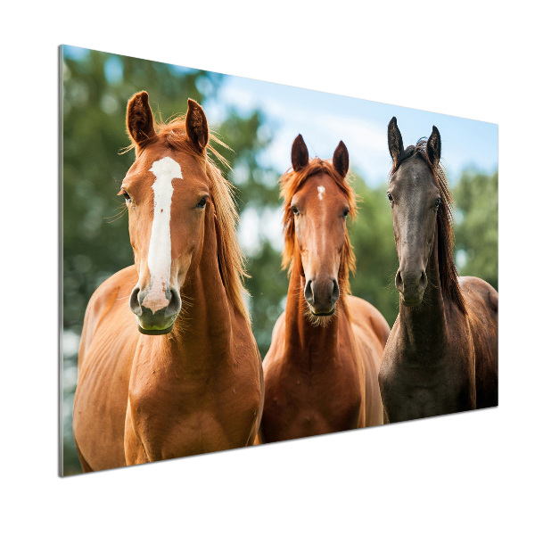 Dekorační panel sklo Tři koně