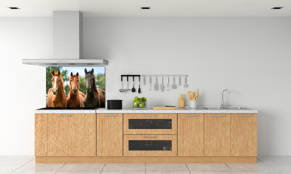 Dekorační panel sklo Tři koně