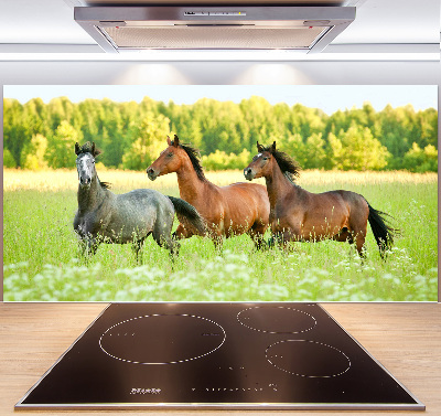 Panel do kuchyně Koně ve cvalu