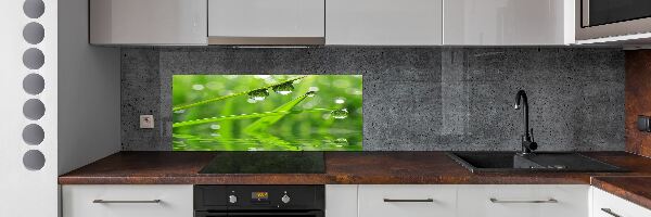 Panel do kuchyně Kapky na trávě
