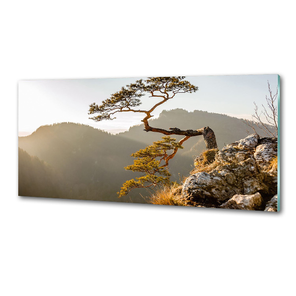 Panel do kuchyně Sokolice Pieniny
