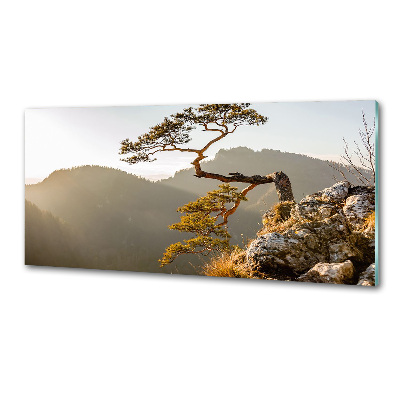 Panel do kuchyně Sokolice Pieniny