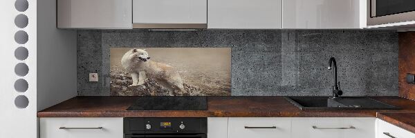 Panel lacobel Bílý vlk na skále