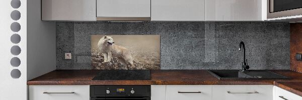 Panel lacobel Bílý vlk na skále