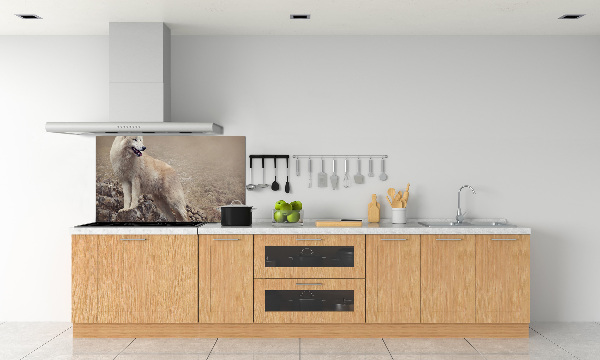 Panel lacobel Bílý vlk na skále