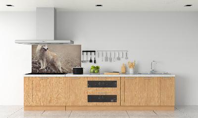 Panel lacobel Bílý vlk na skále