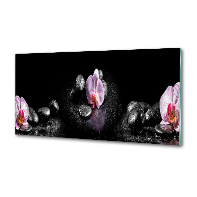 Skleněný panel do kuchynské linky Orchidej