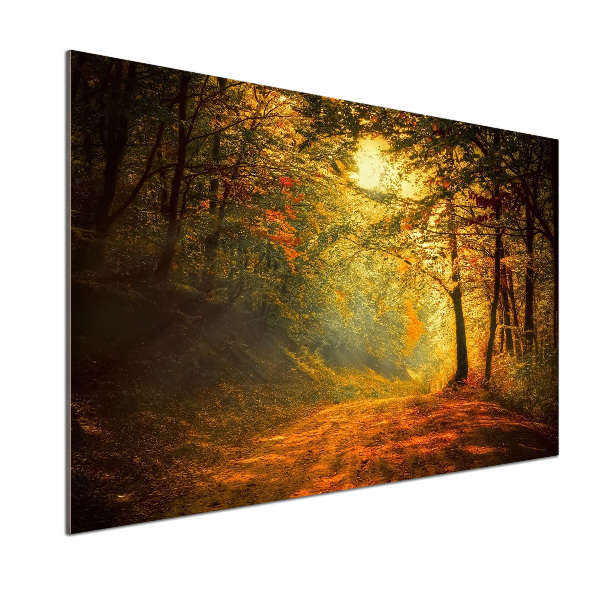 Dekorační panel sklo Podzimní les