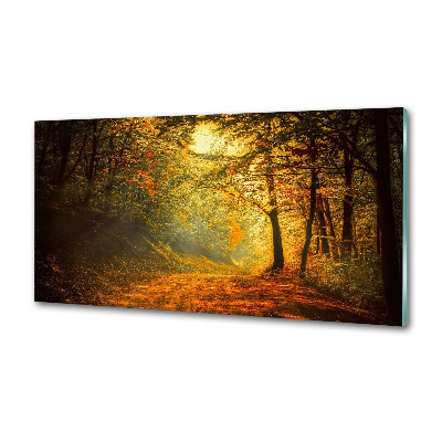 Dekorační panel sklo Podzimní les