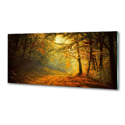 Dekorační panel sklo Podzimní les