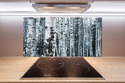 Panel do kuchyně Stromy bříza