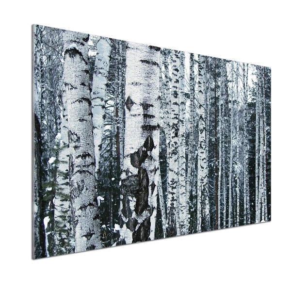 Panel do kuchyně Stromy bříza