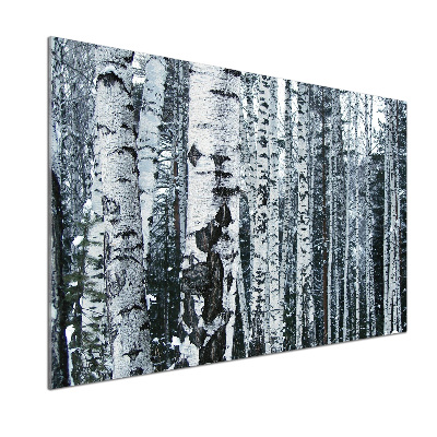 Panel do kuchyně Stromy bříza