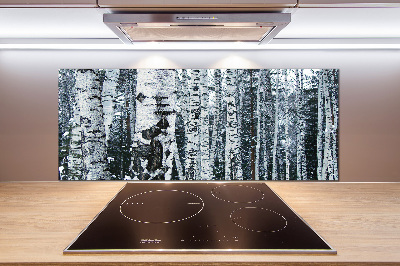 Panel do kuchyně Stromy bříza