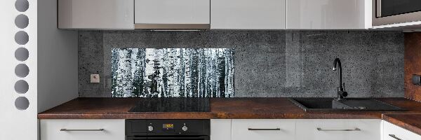 Panel do kuchyně Stromy bříza