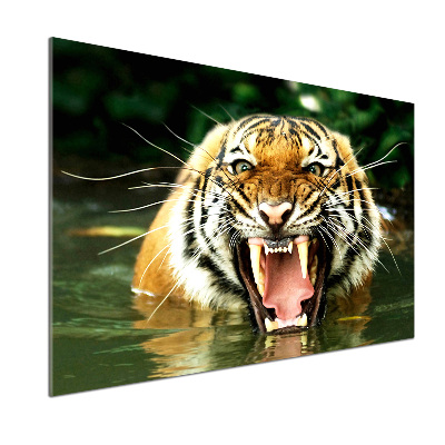 Panel do kuchyně Řvoucí tygři