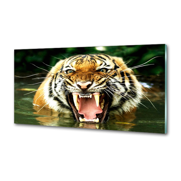 Panel do kuchyně Řvoucí tygři