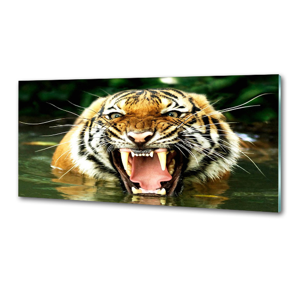 Panel do kuchyně Řvoucí tygři