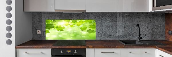 Panel do kuchyně Listí kaštanu