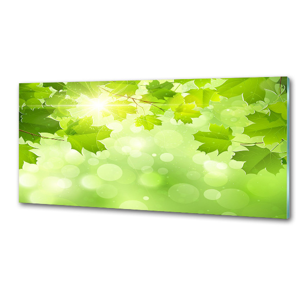 Panel do kuchyně Listí kaštanu