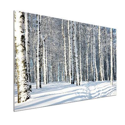 Skleněný panel do kuchynské linky Les zima