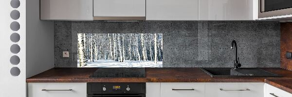 Skleněný panel do kuchynské linky Les zima