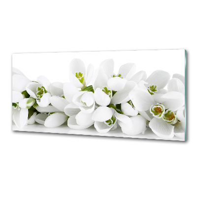 Dekorační panel sklo Prvosenky