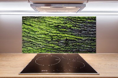 Dekorační panel sklo Kůra stromu