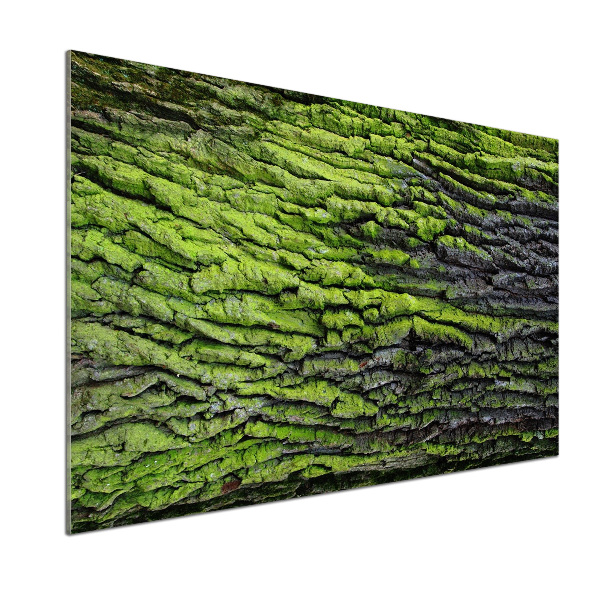Dekorační panel sklo Kůra stromu