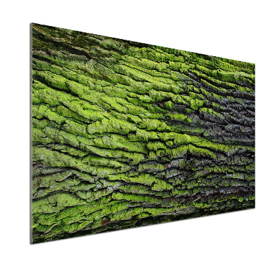 Dekorační panel sklo Kůra stromu