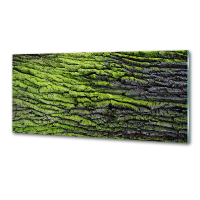 Dekorační panel sklo Kůra stromu