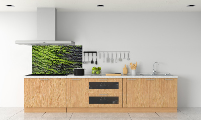 Dekorační panel sklo Kůra stromu
