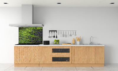Dekorační panel sklo Kůra stromu