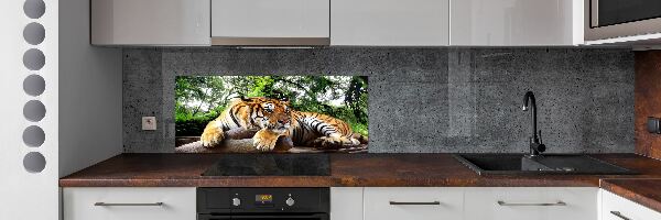 Panel do kuchyně Tygr na skále